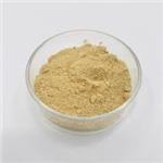 574-12-9 Isoflavone