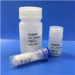 204656-20-2 Liraglutide