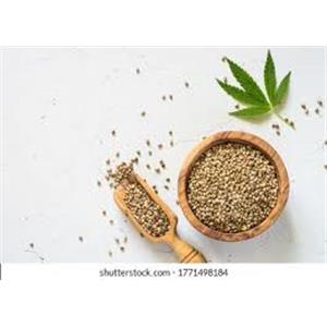 Hemp Seed  P.E.