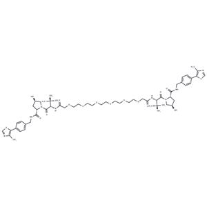Homo-PROTAC pVHL30 degrader 1