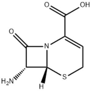 7-Amino-3-Cephem-4-Carboxylic Acid