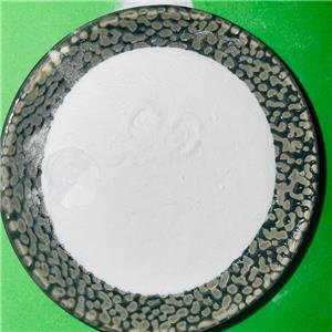 5-amino-1mq best qutation