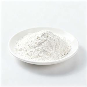 β-Nicotinamide Adenine Dinucleotide（NAD+）