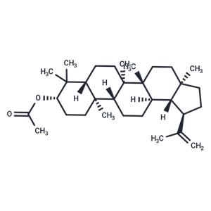 Lupeol acetate