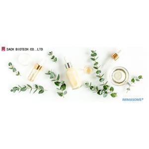 Ganoderma lucidum (Mushroom) Mycelium Ferment Extract Filtrate