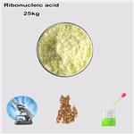 63231-63-0 Ribonucleic acid