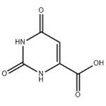 65-86-1 Orotic acid