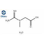 6020-87-7 Creatine monohydrate