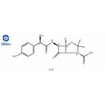 61336-70-7 Amoxicillin trihydrate