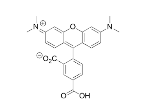 5-羧基四甲基罗丹明