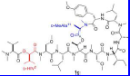 Coibamide A