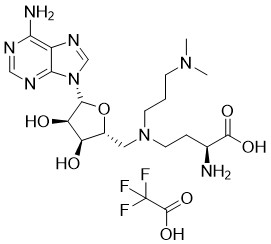 GSK2807