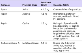 蛋白酶活性分析试剂