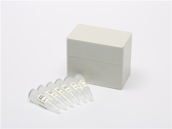 荧光定量法蛋白酶活性分析试剂盒
