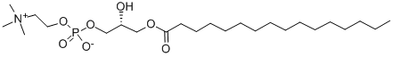 P-LysoPC