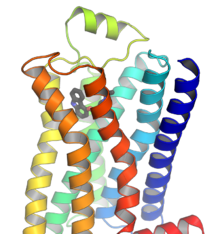 Cys-Protein G