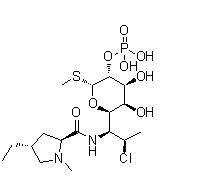 克林霉素杂质