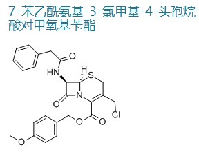 GCLE/7-苯乙酰胺基-3-氯甲基头孢烷酸对甲氧卞酯/