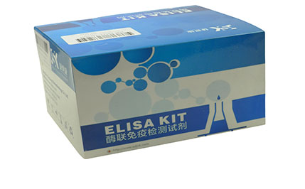 人丝裂原活化蛋白激酶激酶6(MKK6)ELISA KIT
