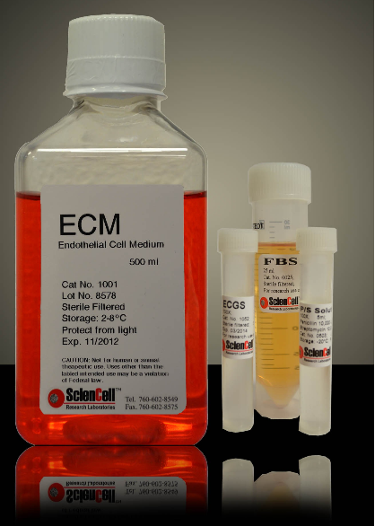 内皮细胞培养基ECM