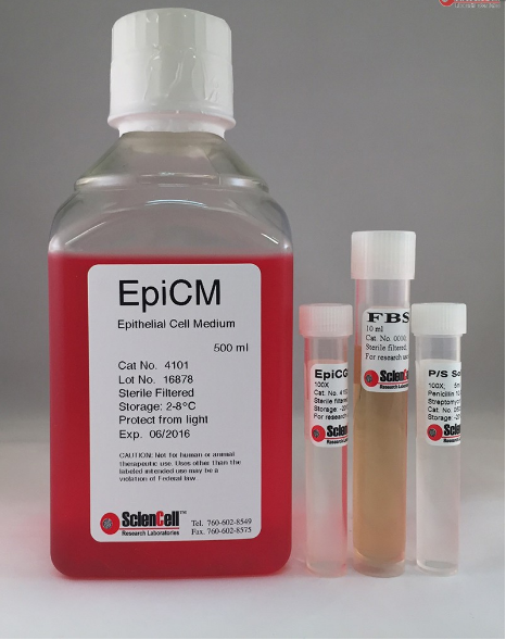 上皮细胞培养基 EpiCM