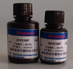 BCIP/NBT 碱性磷酸酶底物液