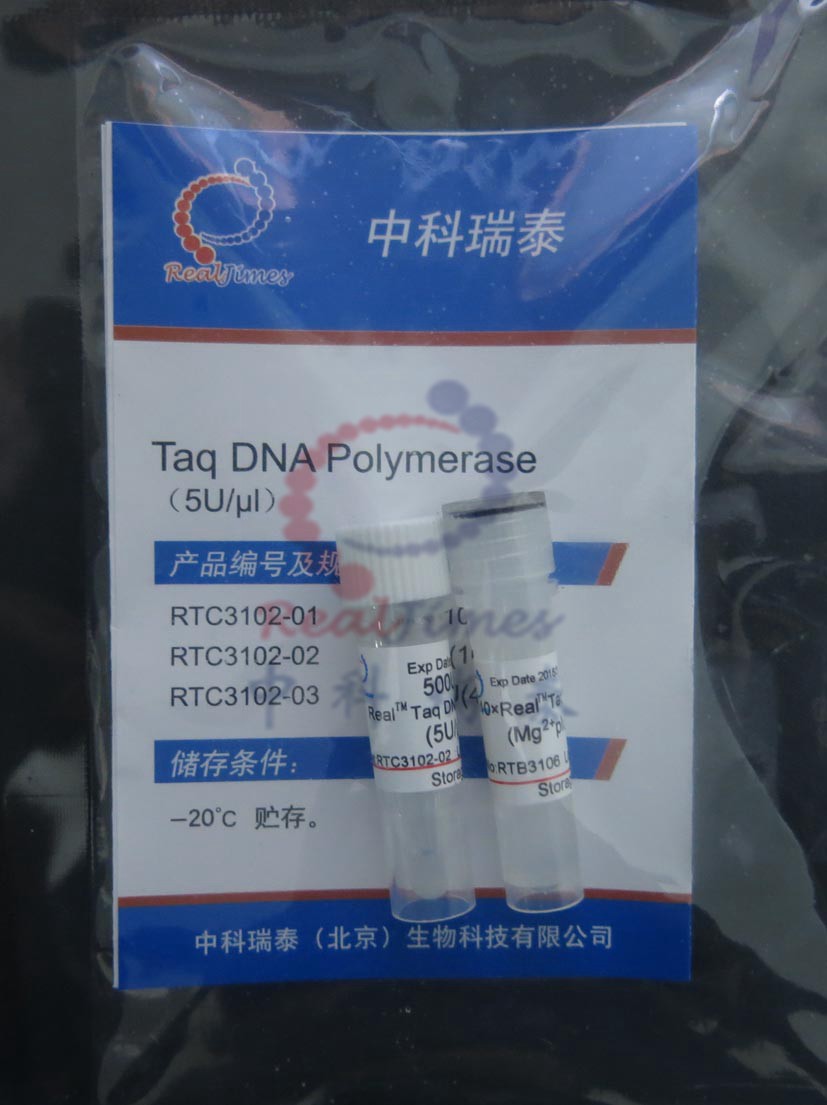 REAL TAQ DNA聚合酶