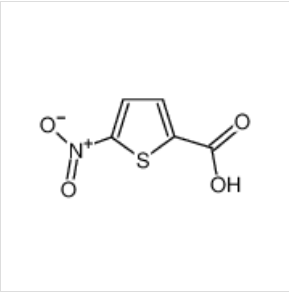 5-硝基噻吩-2-甲酸