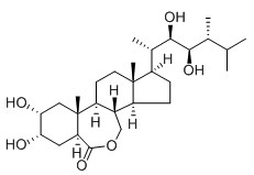 芸苔素内酯