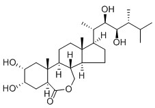 芸苔素内酯