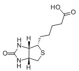 维生素H/D-生物素/辅酶