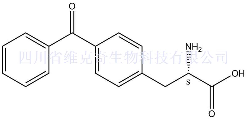 4-Benzoyl-L-phenylalanine