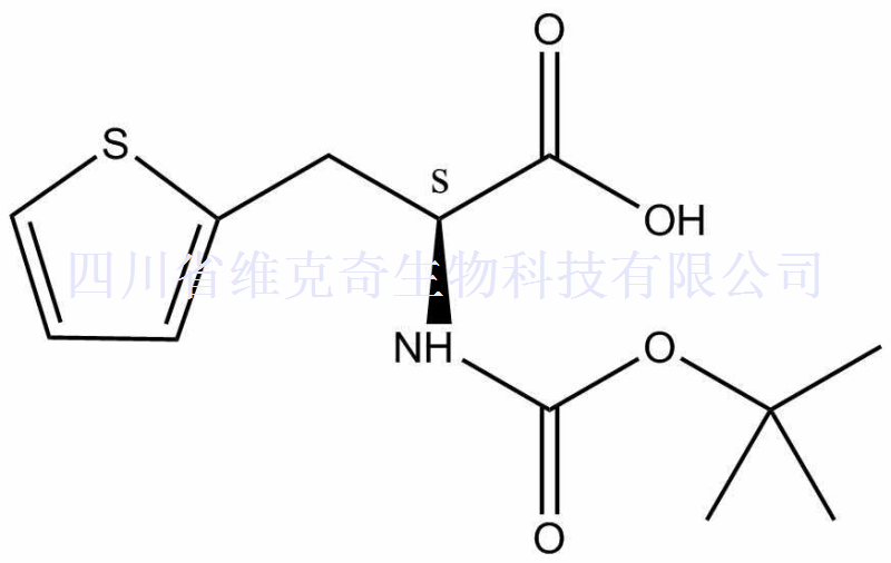 tert-Butoxycarbonyl-L-2-thienylalanine