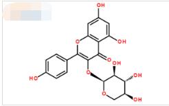 山柰酚-3-O-α-L-吡喃阿拉伯糖苷