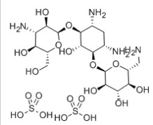 双硫酸卡那霉素