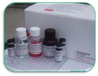猪胰岛素ELISA试剂盒