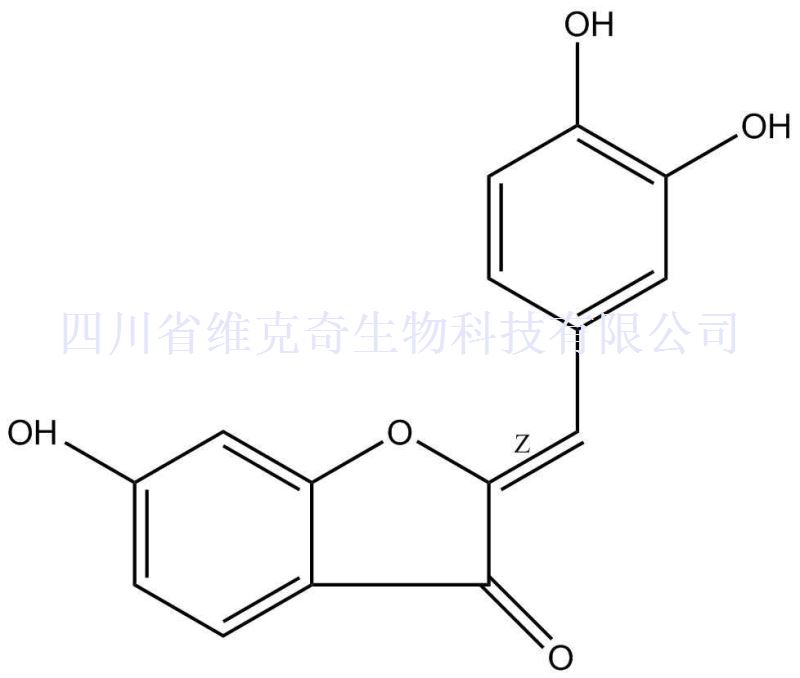 硫黄菊素