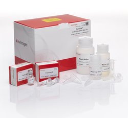 PureLink Viral RNA/DNA Mini Kit