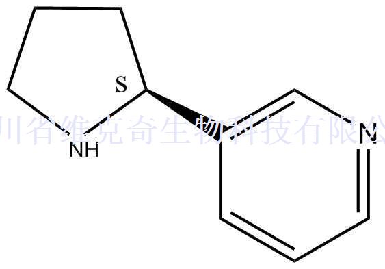 原烟碱