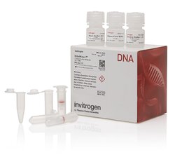 PureLink Genomic Plant DNA Purification Kit