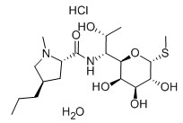 盐酸林可霉素/洁霉素/林可霉素