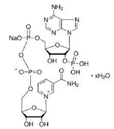 烟酰胺腺嘌呤二核苷酸磷酸（氧化型）