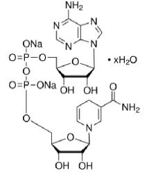 烟酰胺腺嘌呤二核苷酸（还原型）