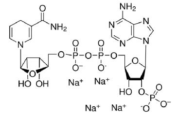 烟酰胺腺嘌呤二核苷酸磷酸（还原型）