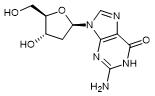 2'-脱氧鸟苷一水合物