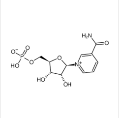 β-烟酰胺单核苷酸单硝酸异烟酸酯