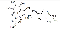 尿苷-5'一二磷酸二钠