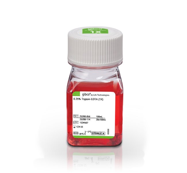 胰蛋白酶-EDTA消化液(0.25%)含酚红|胰