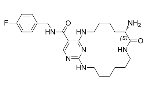 UNC2541