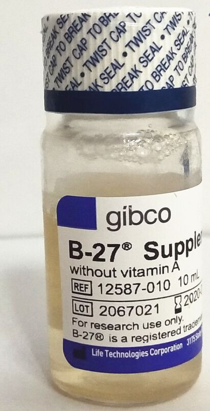 B27添加剂(黄颜色,不含维生素A)